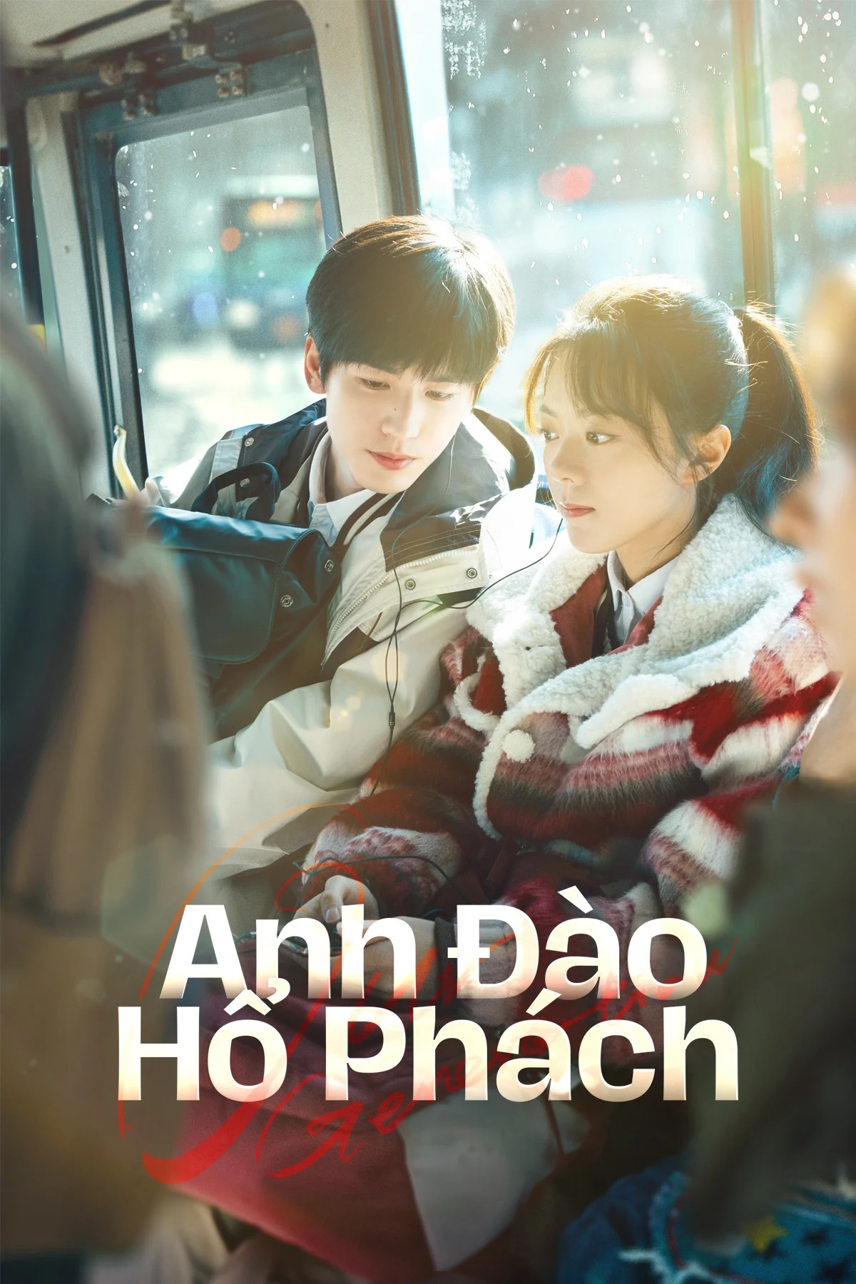 Anh Đào Hổ Phách